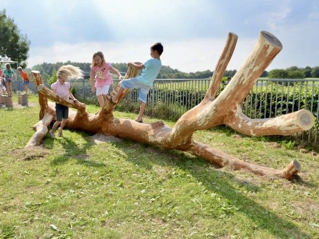Spelende kinderen op een boomstam