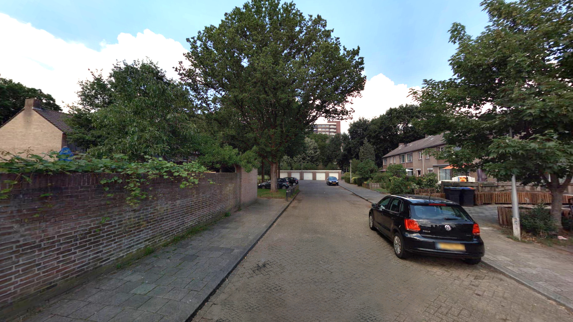 Foto van huidige situatie Dovenetelhof: straat met geparkeerde auto's en bomen