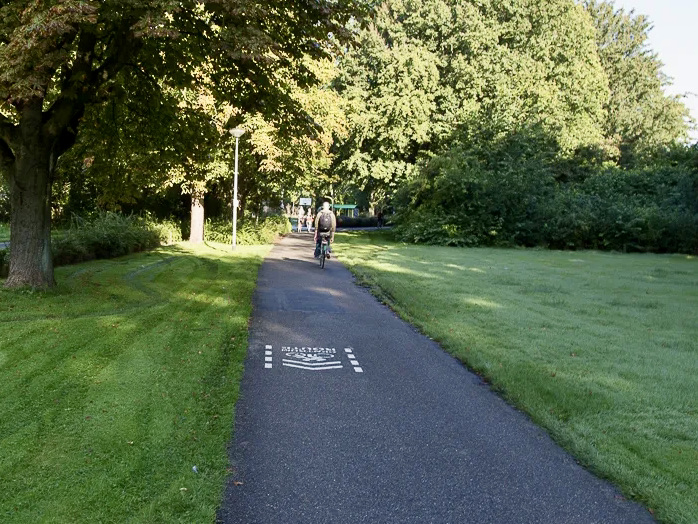 Foto van fietser op een fietspad omringd door gras en bomen