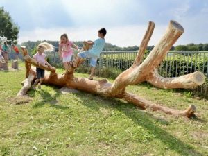 Spelende kinderen op een boomstam