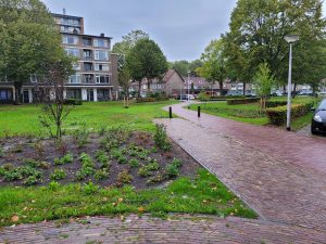Nieuwe wandelpaden en in het nieuwe groene Bernardusplein