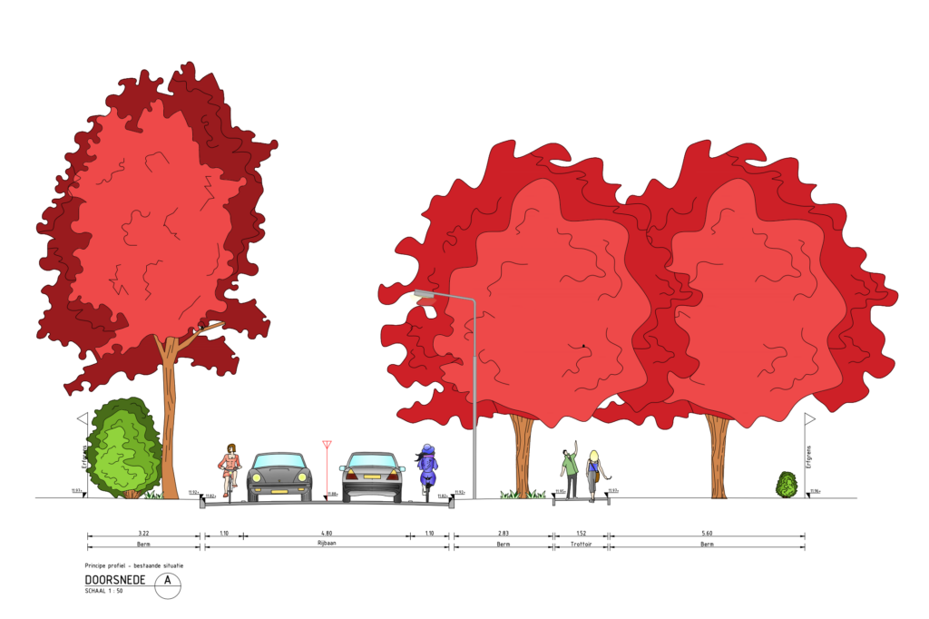 Definitief ontwerp Beukendreef- Dwarsprofiel bestaand