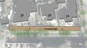 Schetsontwerp Canadasingel